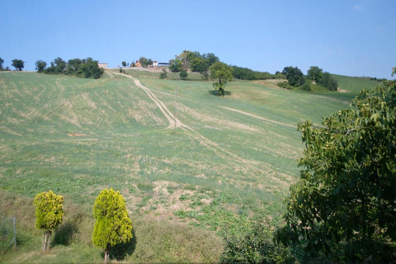 Al Sasseto B&B Montagnana  Kültér fotó