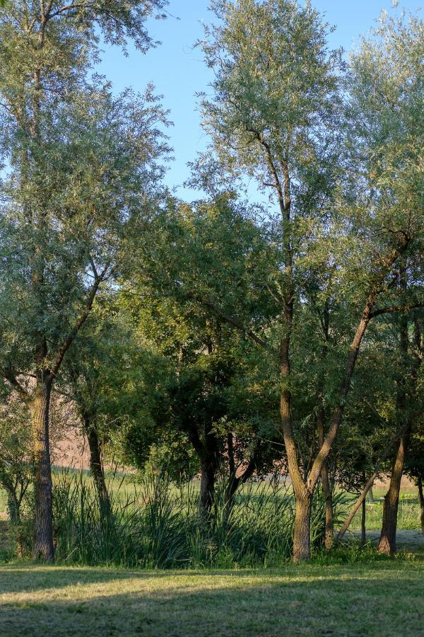 Al Sasseto B&B Montagnana  Kültér fotó