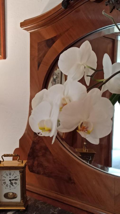 Al Sasseto B&B Montagnana  Kültér fotó